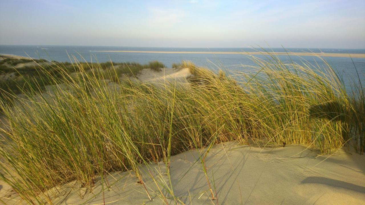 Cottage La Dune Avec Piscine Les Cigales Du Bassin A 居让梅斯特拉 外观 照片