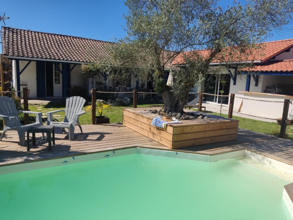 Cottage La Dune Avec Piscine Les Cigales Du Bassin A 居让梅斯特拉 外观 照片